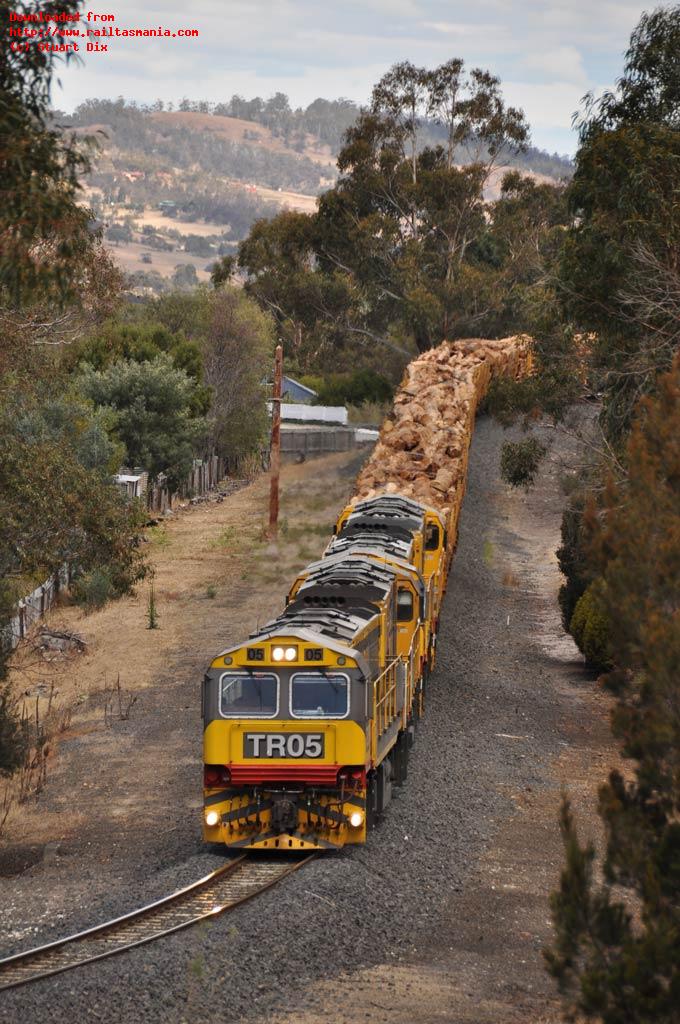 TR05-TR02, with TR17-TR10 dead attached, head Sunday train 134, with a load of logs and empty coal hoppers, downgrade into Campania on 13 December 2015