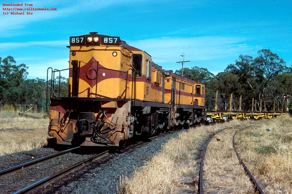 857 and 856 lead an empty log train onto the Fingal Line at Conara Jct, late 1981