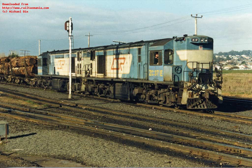 ZC37 and ZC22 lead loaded woodchip log train 4473 at East Tamar, prior to departure for Longreach. June 1986