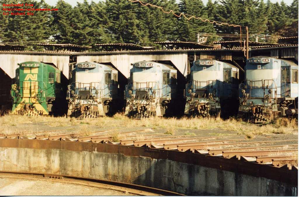 The large number of 1300 class purchased mean there was never a shortage of the locos in Launceston in differing states. Stored locomotives ZC43, ZC22, ZC41, ZC28 and ZC35 sit in the old roundhouse at Launceston in May 1990. ZC43 would return to service, ZC22 & ZC41 would become MKA locomotives in Africa, while the other two locos would be scrapped after barely a year of service each in Tasmania