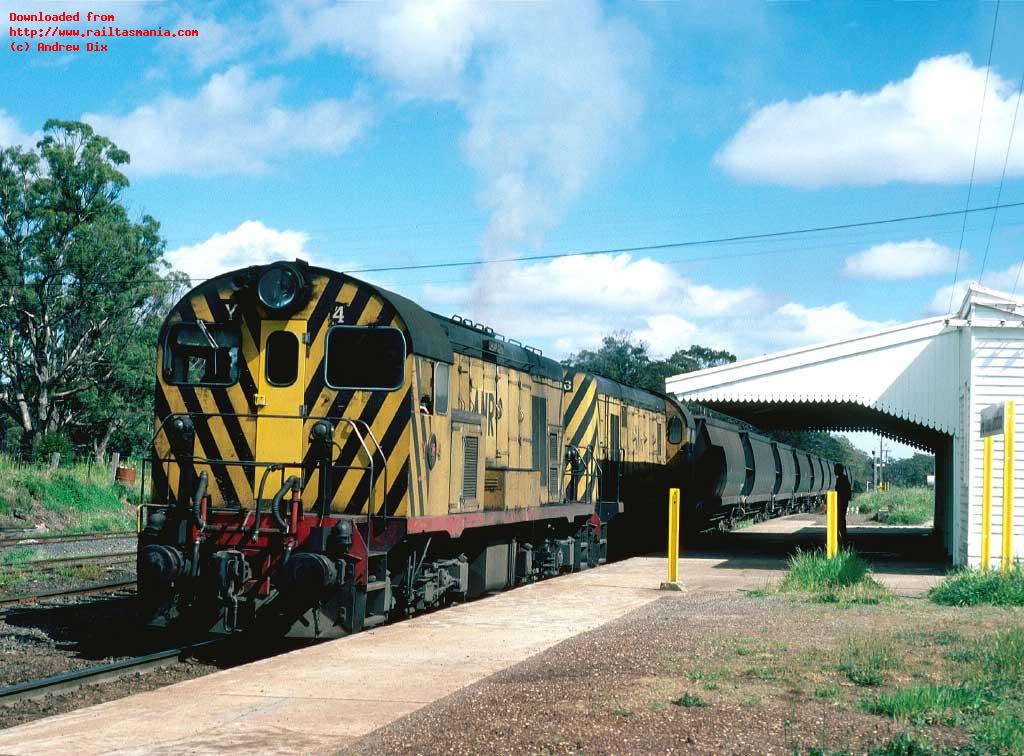 Y4 and Y6 at Conara Junction, prepare to run 173 empty coal to Fingal. November 1986