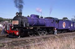 The first public excursion operated by the Tasmanian Locomotive Company and its newly restored locom