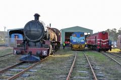 Locomotives H2, EBR 21 and Y2 stand outside the Derwent Valley Railway's New Norfolk depot, May 2016