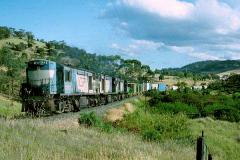 Still in the livery of the Queensland Railways, Tasrail ZC37 heads ZC41 and ZC31 and northbound trai