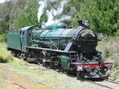 Tasmanian Transport Museum locomotive M5 rests at National Park after arrival with a charter train, 