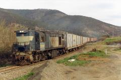 ZC31 hauls the Hobart bound number 111 paper train past the site of Dromedary station in September 1